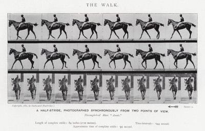 Eadweard Muybridge: De wandeling (zwart-wit foto) door Eadweard Muybridge