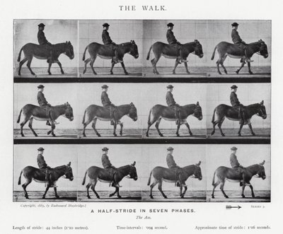 Eadweard Muybridge: De Wandeling (zw/w foto) door Eadweard Muybridge