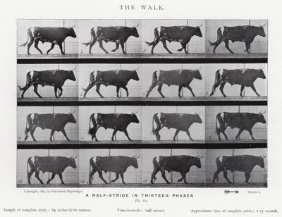 Eadweard Muybridge: De Wandeling (zw/w foto) door Eadweard Muybridge