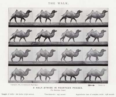 Eadweard Muybridge: De Wandeling (zw/w foto) door Eadweard Muybridge