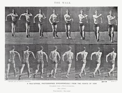 Eadweard Muybridge: De Wandeling (zw/w foto) door Eadweard Muybridge
