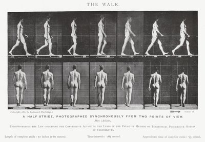 Eadweard Muybridge: De wandeling (zw/w foto) door Eadweard Muybridge