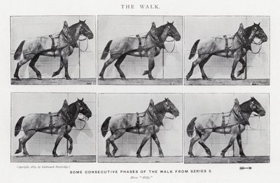 Eadweard Muybridge: De wandeling door Eadweard Muybridge
