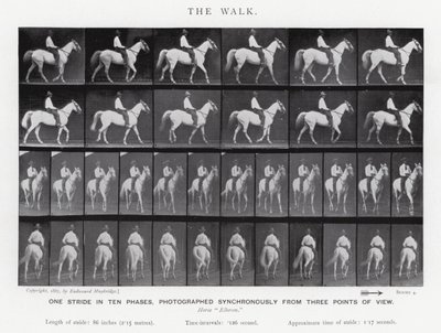 Eadweard Muybridge: De wandeling door Eadweard Muybridge