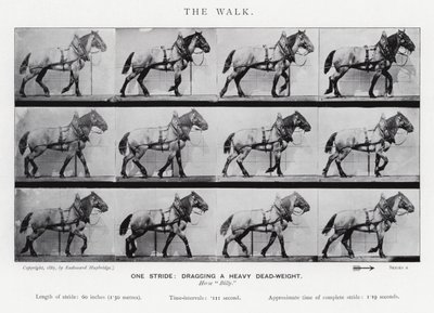 Eadweard Muybridge: De Wandeling door Eadweard Muybridge
