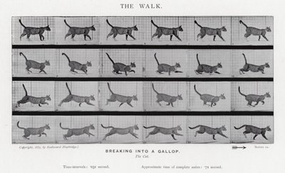 De wandeling door Eadweard Muybridge