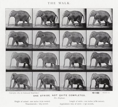 De wandeling door Eadweard Muybridge