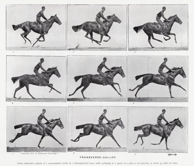 Eadweard Muybridge: De dwarsgalop (zwart-wit foto) door Eadweard Muybridge