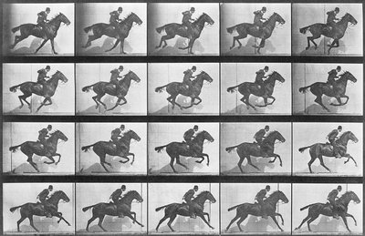 Galopperend paard, plaat 628 uit 