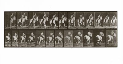 Galopperend paard met ruiter, Plaat 635 uit Animal Locomotion, 1887 door Eadweard Muybridge