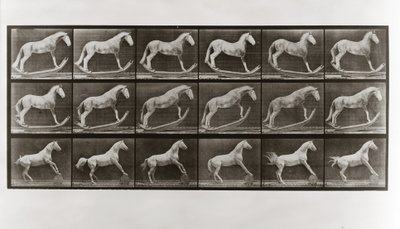 Paard op schommels en paard dat een vat rolt, Plaat 649 uit Animal Locomotion, 1887 door Eadweard Muybridge