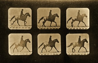 Paarden. Onregelmatig, 