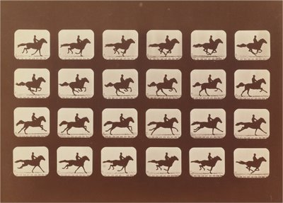 Paarden. Rennen. Phyrne L. Nr. 40 door Eadweard Muybridge