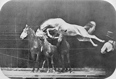 Springen over drie paarden...kastanjebruin paard Hornet, uit 