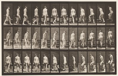 Plaat 104. Draaien en trap oplopen, emmer water in elke hand, 1872-1885 door Eadweard Muybridge