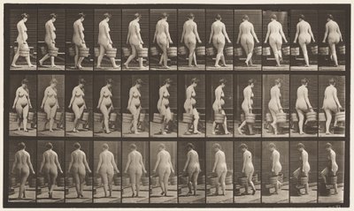 Omdraaien om trap op te lopen, emmer water in elke hand door Eadweard Muybridge