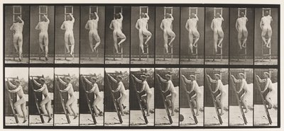 Plaat 111. Ladder beklimmen door Eadweard Muybridge