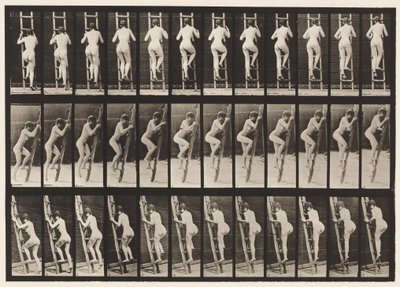 Plaat 112. Ladder Beklimmen door Eadweard Muybridge