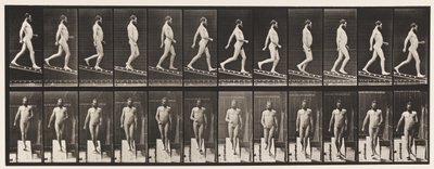 Hellend vlak afdalen, 1 op 4 door Eadweard Muybridge