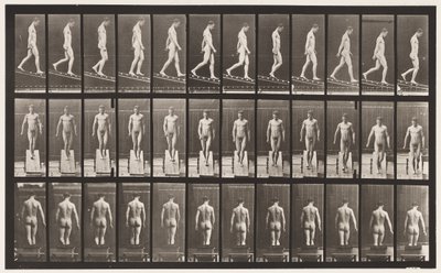 Plaat 114. Afdalen van helling, hoek 1 op 4, 1872-1885 door Eadweard Muybridge