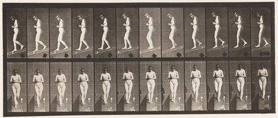 Plaat 115. Een helling afgaan met handen gevouwen vooraan door Eadweard Muybridge
