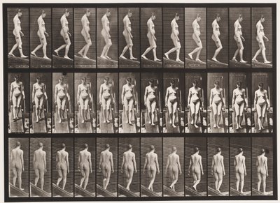 Hellend vlak afdalen door Eadweard Muybridge
