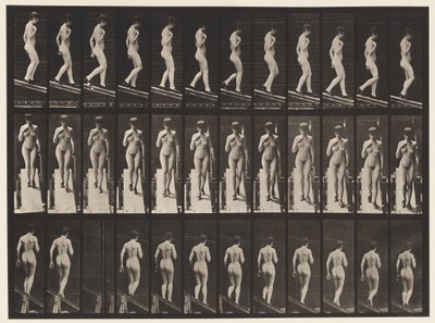 Plaat 119. Helling Afdalen, Rechterhand op Borst (Schoenen) door Eadweard Muybridge