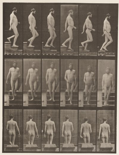 Trap aflopen door Eadweard Muybridge