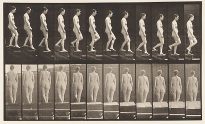 Plaat 129. Trap Afdalen, Handen Gevouwen door Eadweard Muybridge