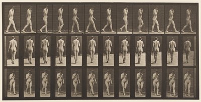 Plaat 14. Wandelen, rechterhand aan kin door Eadweard Muybridge