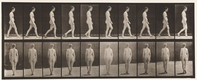 Plaat 15. Lopen door Eadweard Muybridge