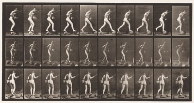 Plaat 176. Beek Oversteken op Stenen met Hengel en Mand door Eadweard Muybridge