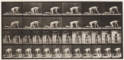 Plaat 182. Kruipen op handen en knieën door Eadweard Muybridge