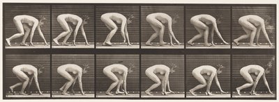 Plaat 183. Lopen op handen en voeten door Eadweard Muybridge