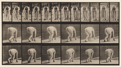 Plaat 184. Op Handen en Voeten Lopen door Eadweard Muybridge