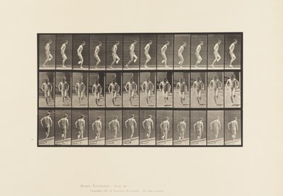 Op de Rechtervoet Springen door Eadweard Muybridge