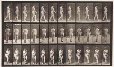 Plaat 18. Wandelen, linkerhand over buik, 1872-1885 door Eadweard Muybridge
