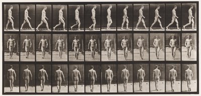 Plaat 1. Wandelen door Eadweard Muybridge