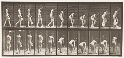 Plaat 202. Een zakdoek laten vallen en oppakken door Eadweard Muybridge