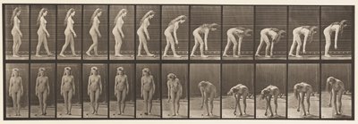 Plaat 204. Stoppen om bal op te pakken door Eadweard Muybridge