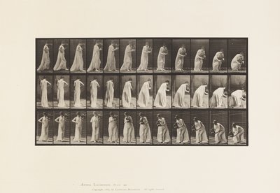 Plaat 205. Dragen en bukken met vaas, 1885 door Eadweard Muybridge