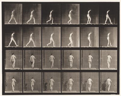Plaat 20. Wandelen, rechter elleboog gebogen door Eadweard Muybridge