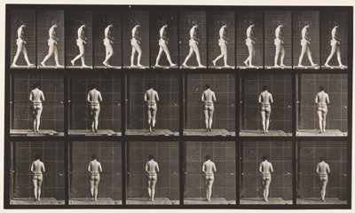Plaat 21. Lopen, beide ellebogen gebogen door Eadweard Muybridge
