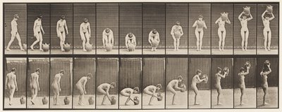 Plaat 224. Bukken en Waterkruik naar Hoofd Tillen door Eadweard Muybridge