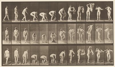 Plaat 227. Doek van de grond tillen, 1872-1885 door Eadweard Muybridge