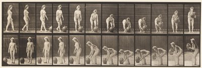 Plaat 228. Draaien en waterkruik van de grond tillen door Eadweard Muybridge