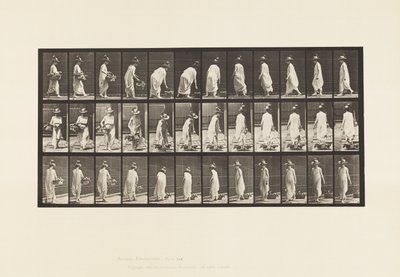 Plaat 229. Mand op de grond plaatsen en omdraaien door Eadweard Muybridge