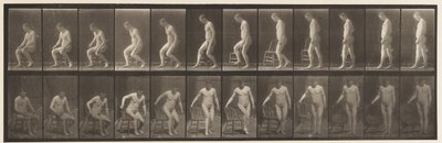 Plaat 236. Stoel plaatsen en gaan zitten, 1885 door Eadweard Muybridge