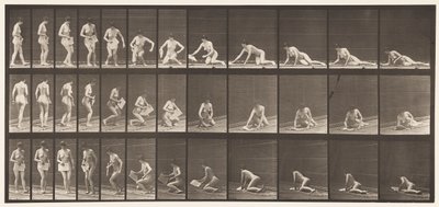 Plaat 256. Op de grond liggen en lezen, 1872-1885 door Eadweard Muybridge