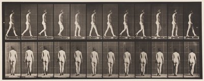 Plaat 25. Lopen met Hoge Hakken Aan door Eadweard Muybridge